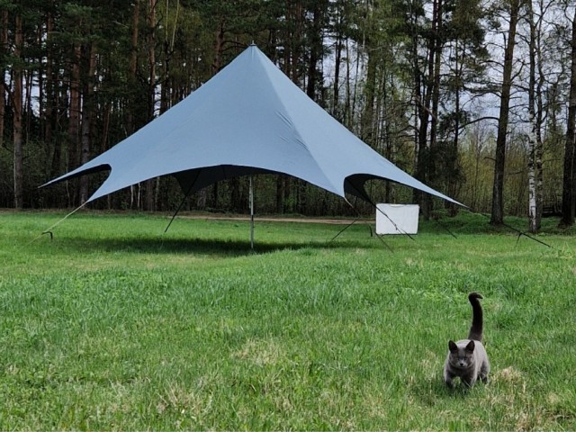 zvaigznes telts 50 m2 pelekzila 2eo